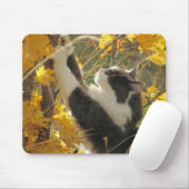 Die Herbstfarben heraus überprüfen Mousepad (Mit Mouse)