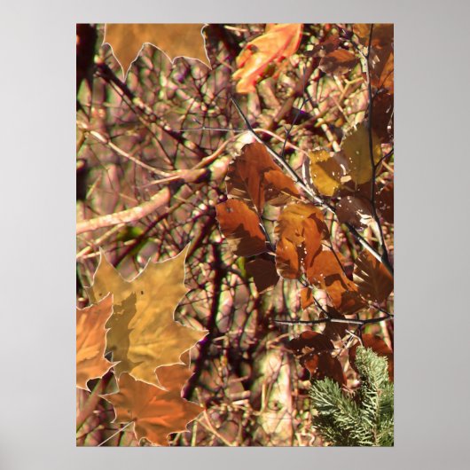 Die Herbstfarben von Jägern in Camouflage Poster (Vorne)