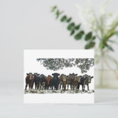 Die Herde Postkarte (Stehend Vorderseite)