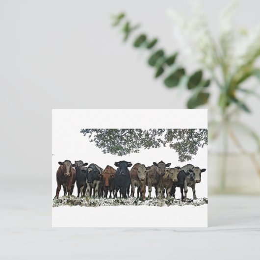 Die Herde Postkarte (Stehend Vorderseite)