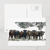 Die Herde Postkarte (Vorne/Hinten)