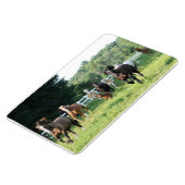 Die Herde und der Herdmaster Magnet (Linke Seite)