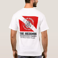 Die Hermes (Wracktauchen)