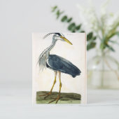 Die Heron (Ardea cinerea) Platte von "The British Postkarte (Stehend Vorderseite)