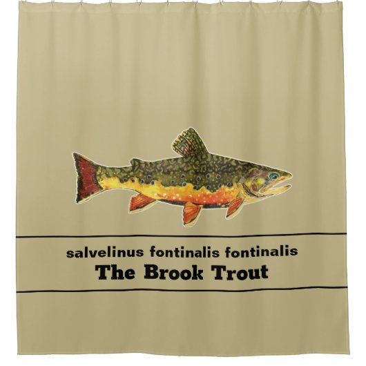 Die herrliche Bachforelle für Fliegenfische Duschvorhang (Vorderseite)