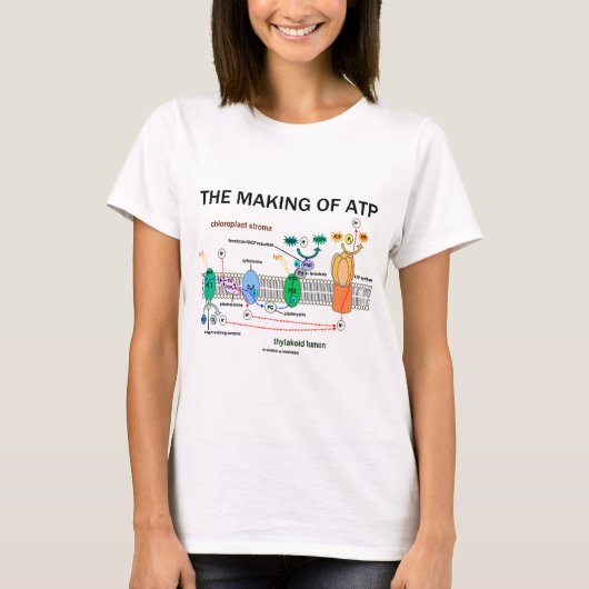 Die Herstellung von Atp (lichtabhängige T-Shirt (Vorderseite)