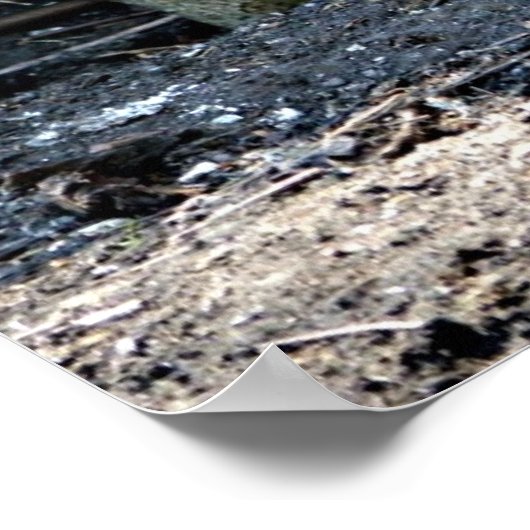 Die Heuschrecken, die Heuschrecken, Poster (Ecke)