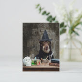 Die Hexe Postkarte (Stehend Vorderseite)