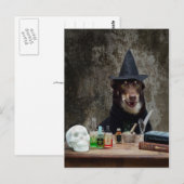 Die Hexe Postkarte (Vorne/Hinten)