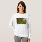 Die Highwaymen T-Shirt (Vorne ganz)