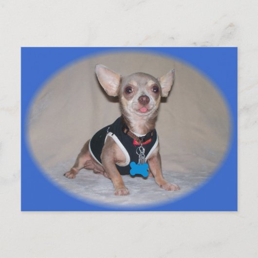 Die Himbeeransicht Postkarte (Vorderseite)