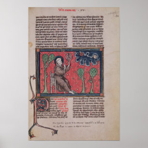 Die Himmel, von 'De Natura rerum Poster