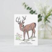 " Die Hirsche " Postkarte (Stehend Vorderseite)