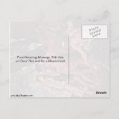 Die Hirten von Arcadia von Nicolas Poussin Postkarte (Rückseite)