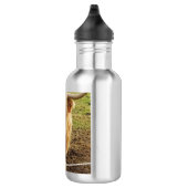 Die Hochlandkühe Edelstahlflasche (Rechts)