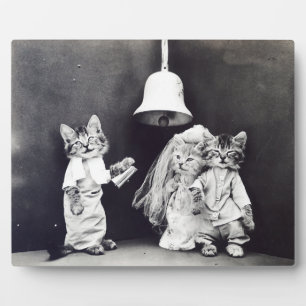 Die Hochzeit Harry Whittier Frees 1914 Fotoplatte