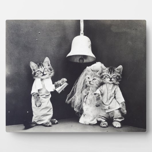 Die Hochzeit Harry Whittier Frees 1914 Fotoplatte (Vorderseite)