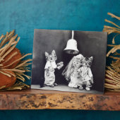 Die Hochzeit Harry Whittier Frees 1914 Fotoplatte (Seite)