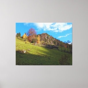 Die hohe Wiese - Wilde Natur Rumänien Leinwanddruck