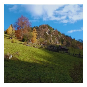 Die hohe Wiese - Wilde Natur Rumänien Poster