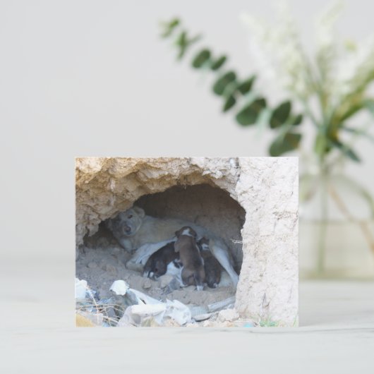 Die Höhle Postkarte (Stehend Vorderseite)