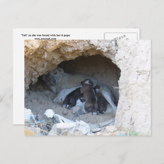 Die Höhle Postkarte (Vorne/Hinten)