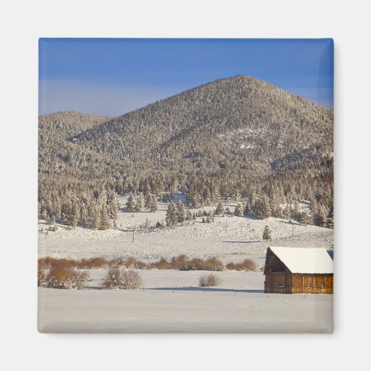 Die Holzhütte sitzt im Schnee in der Nähe des Boul Magnet (Vorne)