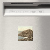 Die Honeycombs, Riesenkauz, Landkreis Antrim Magnet (In Situ (Geschirrspüler))