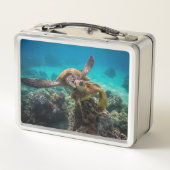 Die Honu Lunchbox (Rückseite)