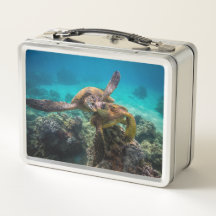 Die Honu Lunchbox