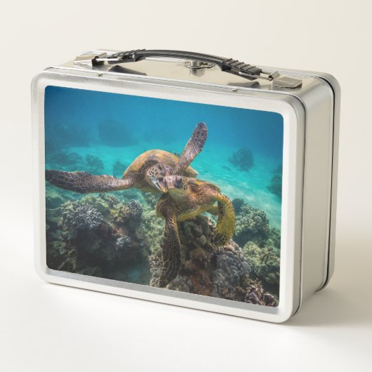 Die Honu Lunchbox (Rückseite)