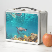 Die Honu Lunchbox (Beispiel)
