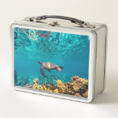 Die Honu Lunchbox (Vorderseite)