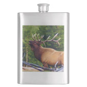 Die Hornist-Elche Stier Flachmann (Vorderseite)