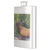 Die Hornist-Elche Stier Flachmann (Links)