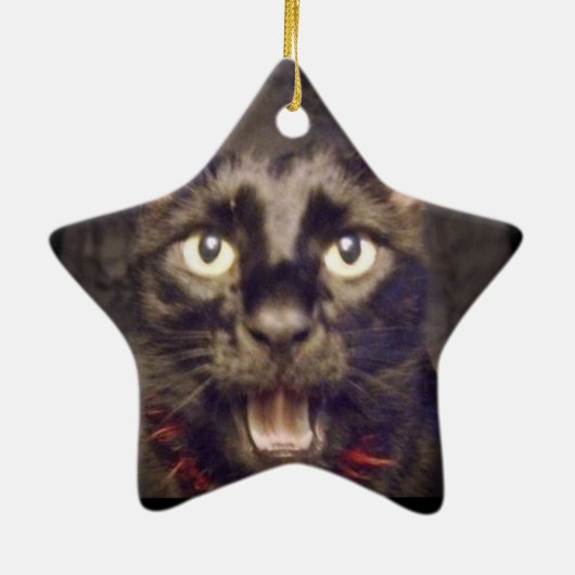 Die hübscheste Stern-Verzierung Keramik Ornament (Hinten)