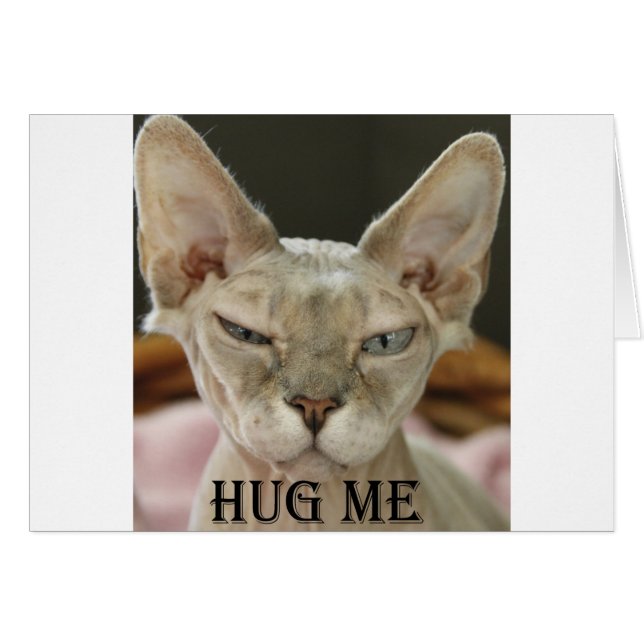 Die Hug-Me-Katze (Vorderseite (Horizontal))