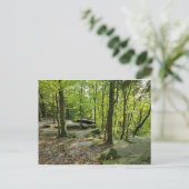 Die Hügel, der Cuyahoga-Nationalpark Postkarte (Stehend Vorderseite)