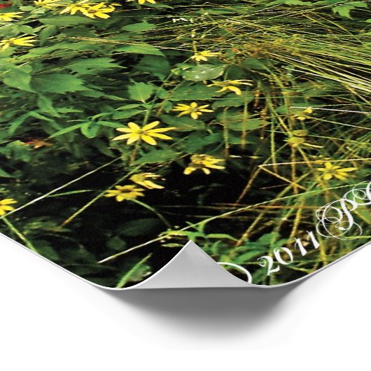 Die Hügel sind lebendig mit Wildblumen Poster (Ecke)