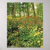 Die Hügel sind lebendig mit Wildblumen Poster (Vorne)