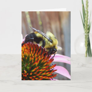 Die Hummel Karte
