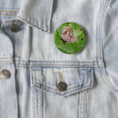 Die Hummelbiene auf der Milkweed Button (Beispiel)