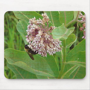 Die Hummelbiene auf der Milkweed Mousepad