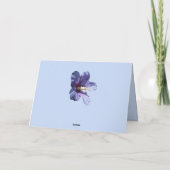 Die Hummingbird-Karte Karte (Rückseite)