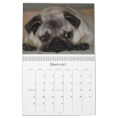 Die Hunde der Hochschulhunde- lernenakademie Kalender (Mär 2027)