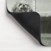 Die Hunde springend über MiniaturBar des hohen Mousepad (Ecke)