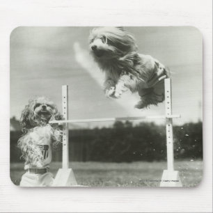 Die Hunde springend über MiniaturBar des hohen Mousepad