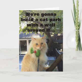 Die Hunde werden für es zahlen Karte