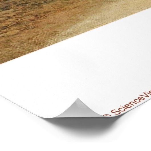 Die Hütte Poster (Ecke)