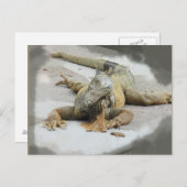 Die Iguana in Ecuador Postkarte (Vorne/Hinten)